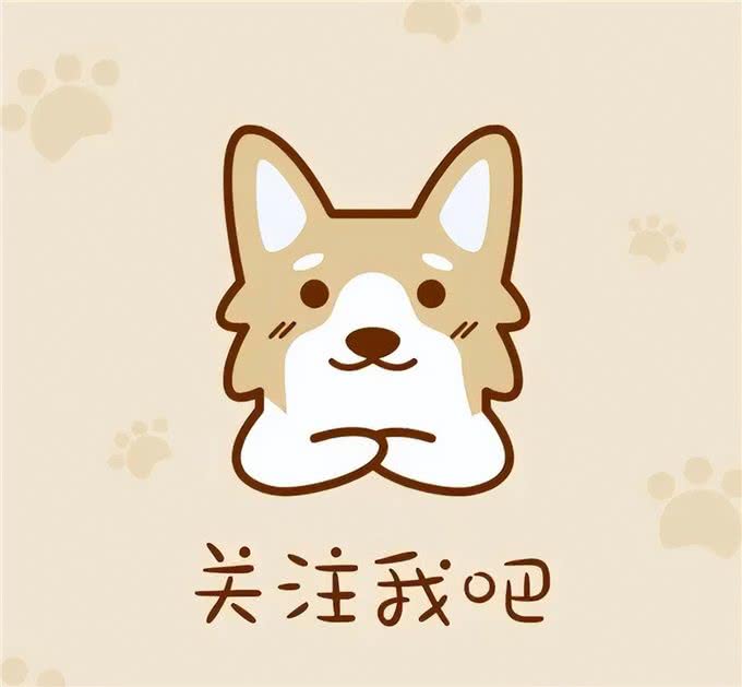 狗狗消瘦的原因有哪些，为了你家狗子，速看!