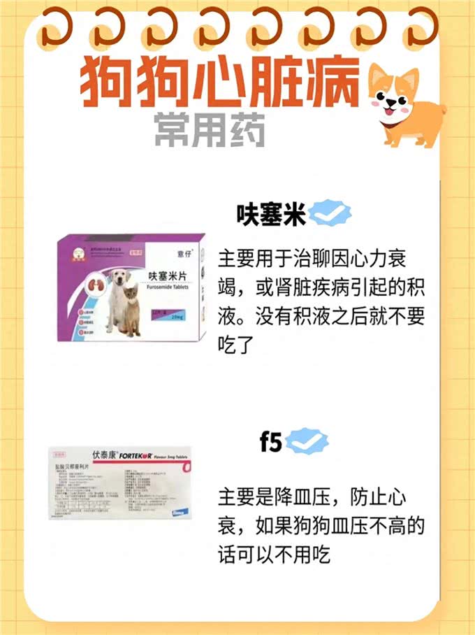 狗狗心脏病的种类
