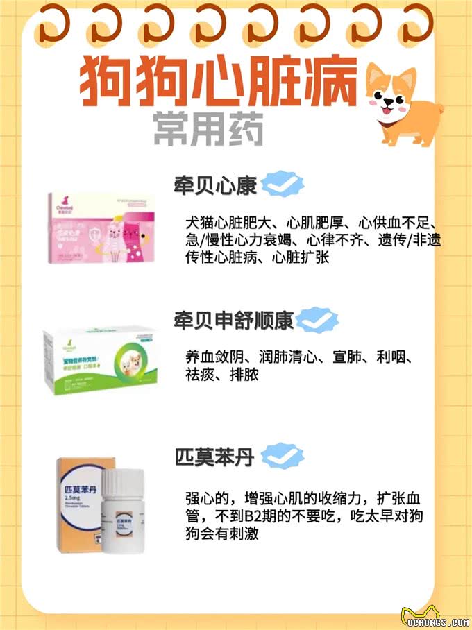 狗狗心脏病的种类
