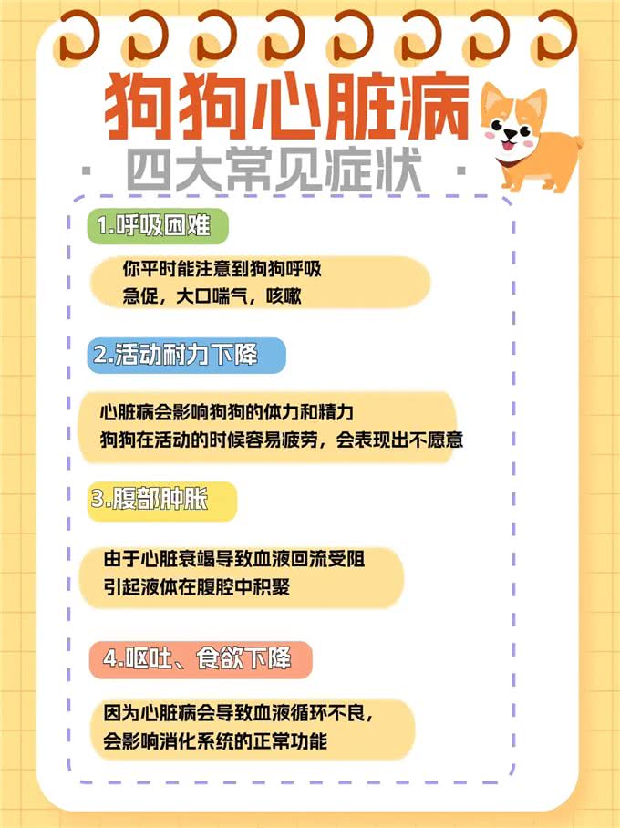 狗狗心脏病的种类