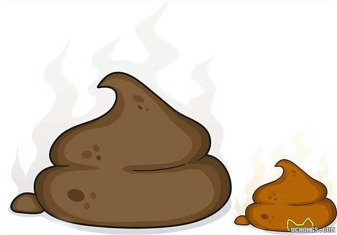 狗狗大便里的学问，你了解多少?