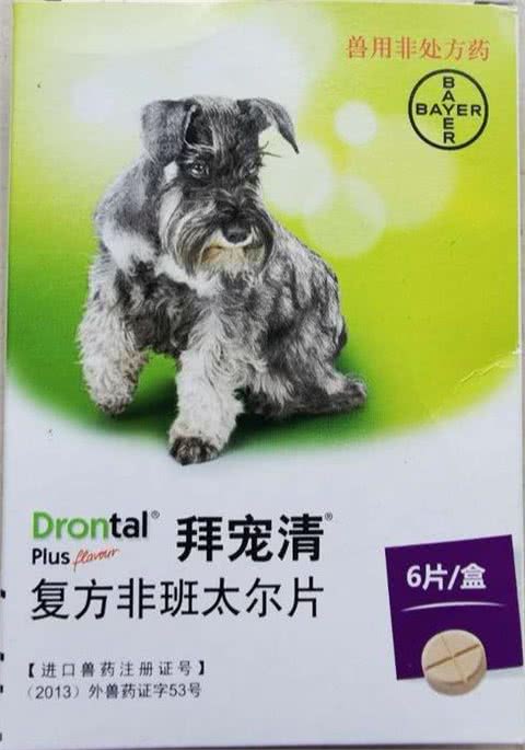 新手养宠（第二篇），猫猫狗狗驱虫的那些事儿!