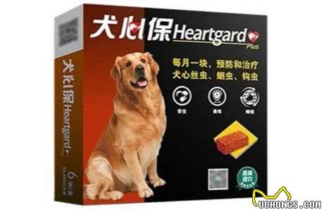 新手养宠（第二篇），猫猫狗狗驱虫的那些事儿!