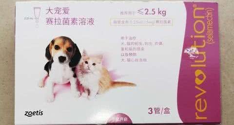 新手养宠（第二篇），猫猫狗狗驱虫的那些事儿!