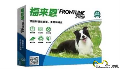 新手养宠（第二篇），猫猫狗狗驱虫的那些事儿!