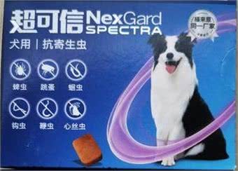 新手养宠（第二篇），猫猫狗狗驱虫的那些事儿!