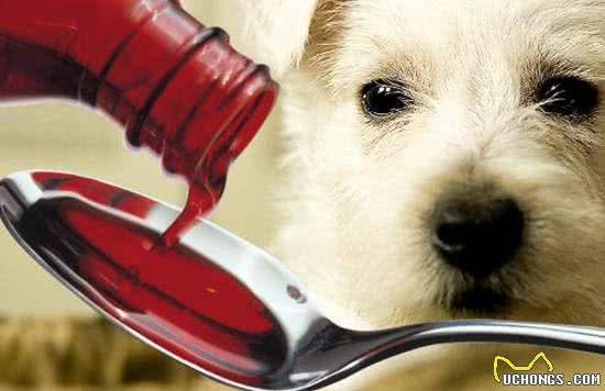 给狗狗补充维生素C?你是在帮忙还是在帮倒忙?