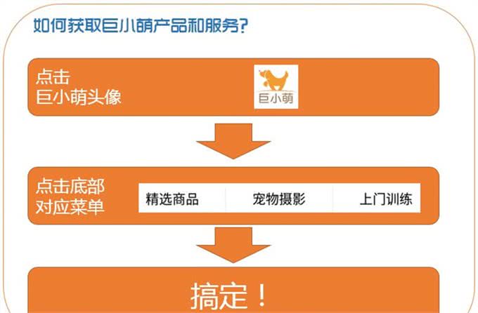 把吉娃娃养成二师兄?!谈狗狗肥胖症的预防与治疗