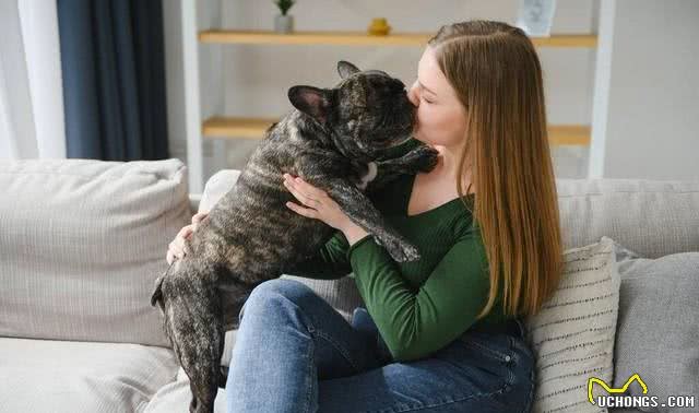 爱犬不可不知:四种最不忠诚的狗狗，选择宠物需慎之又慎