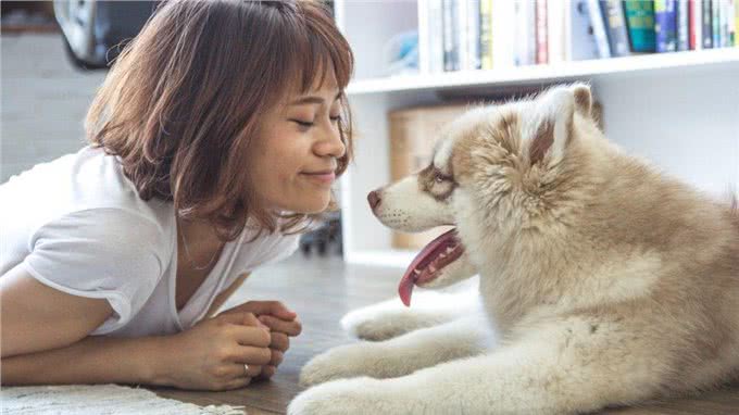 狗狗不觉得主人是同类，但是并不阻碍它爱你，甚至把你当父母看