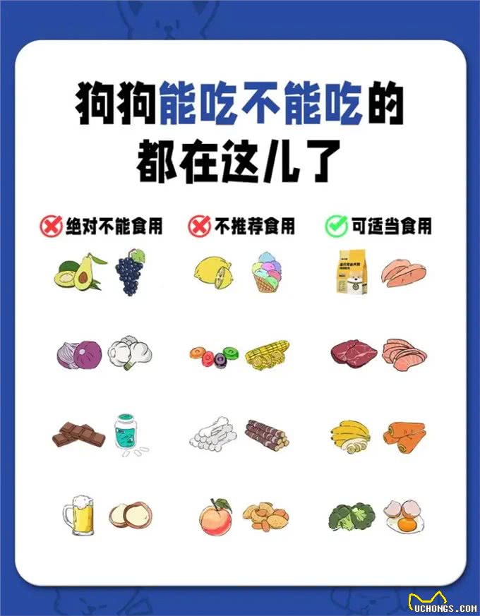 还有哪些是狗狗不能吃的食物?