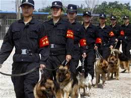 这5种狗这么受欢迎，竟然不适合当警犬?看看你家狗狗上榜了吗?