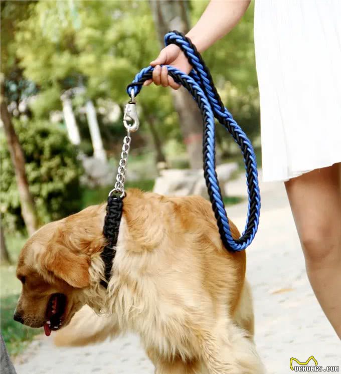 文明养犬别掉链，那么我们如何挑选适合狗狗的犬链呢?