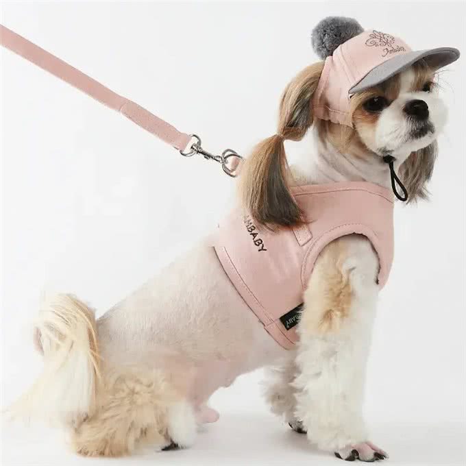文明养犬别掉链，那么我们如何挑选适合狗狗的犬链呢?