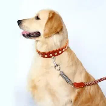 文明养犬别掉链，那么我们如何挑选适合狗狗的犬链呢?