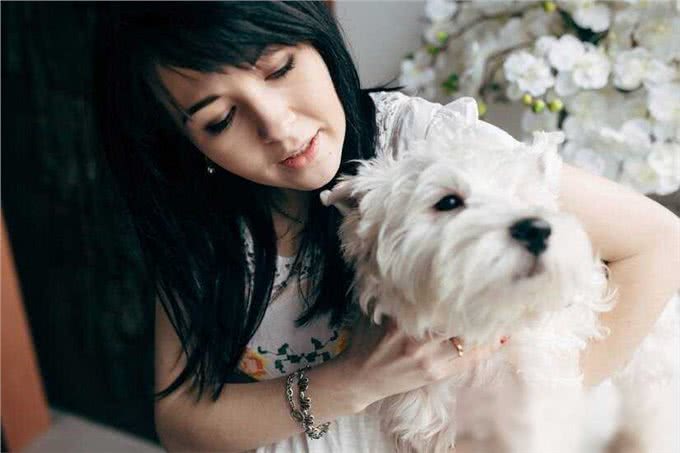 西施犬，小小一只却有着大大的温柔心肠