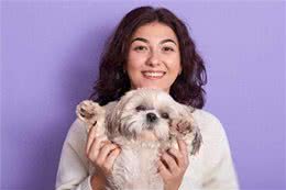 西施犬，小小一只却有着大大的温柔心肠