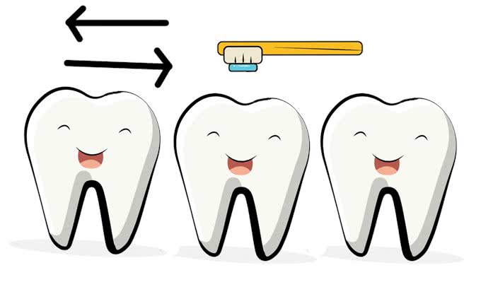 如何给狗狗刷牙?保证您能轻松学会