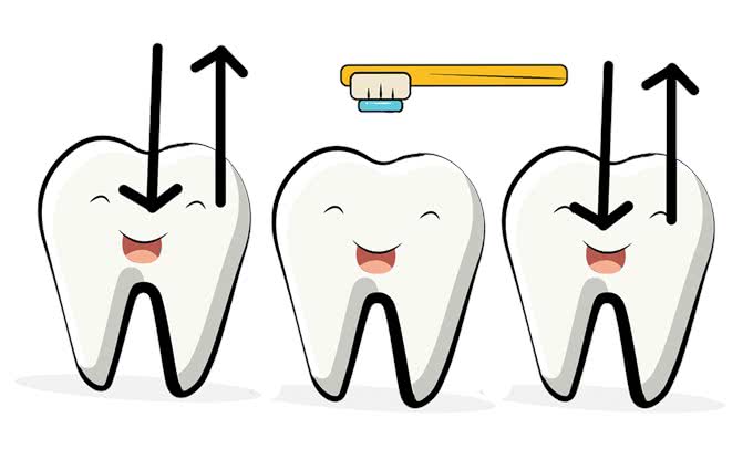 如何给狗狗刷牙?保证您能轻松学会