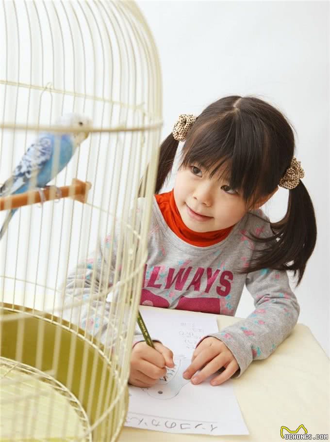 给孩子养什么宠物最合适?推荐几种小动物供孩子选择!你家有养吗