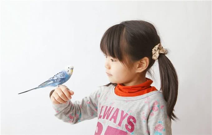 给孩子养什么宠物最合适?推荐几种小动物供孩子选择!你家有养吗