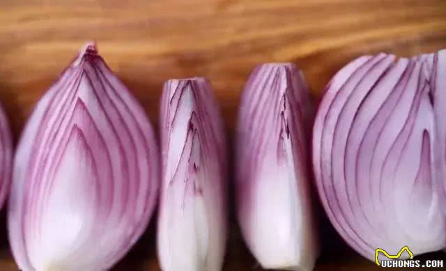 养狗必备|狗狗不能吃的食物