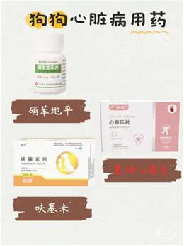 狗狗心脏病不要慌，来看看这些小窍门!