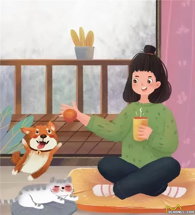老年犬养护|就这样，一直陪我到老吧