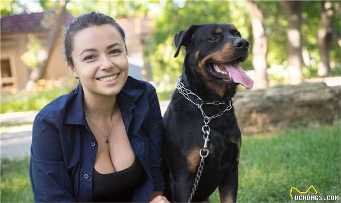 罗威纳十二节养护，给你详细介绍，很多你可能第一次知道