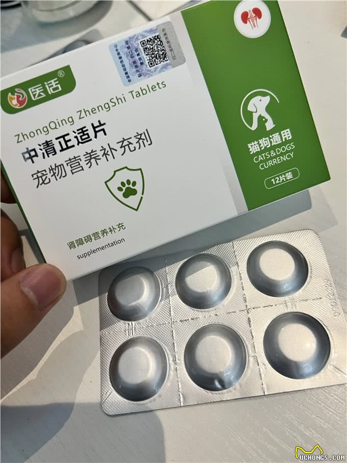 养狗不走弯路，狗狗肾衰科普