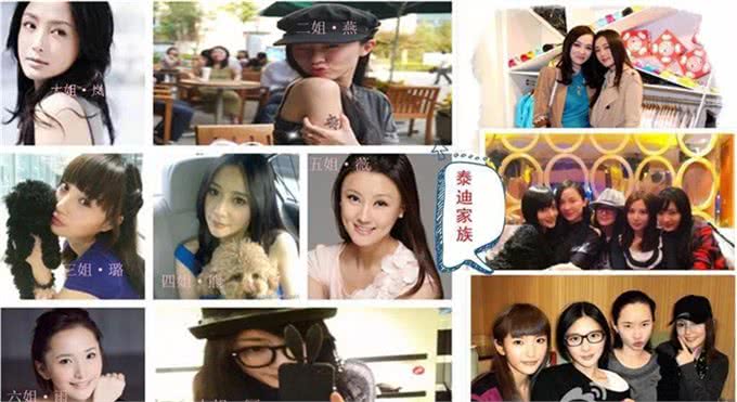无人不知的玩具贵宾犬，并不叫泰迪，你真的了解过它们吗?