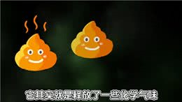 为什么狗狗看见粑粑就兴奋—科普