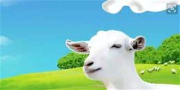 狗狗健康成长好伴侣—羊奶