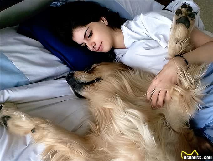 原来在你不在家的时候,狗一天的生活,其实挺忙的