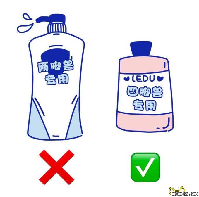 隔壁小区狗友追我十条街要和我换狗!原因竟是偷看了我的洗狗大法