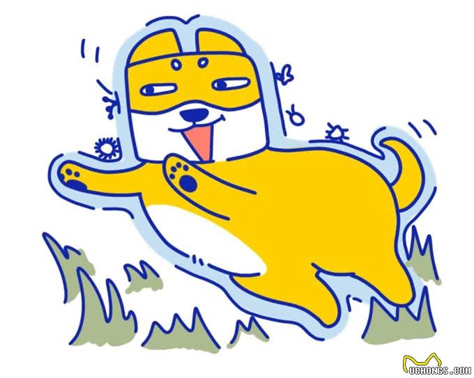 隔壁小区狗友追我十条街要和我换狗!原因竟是偷看了我的洗狗大法