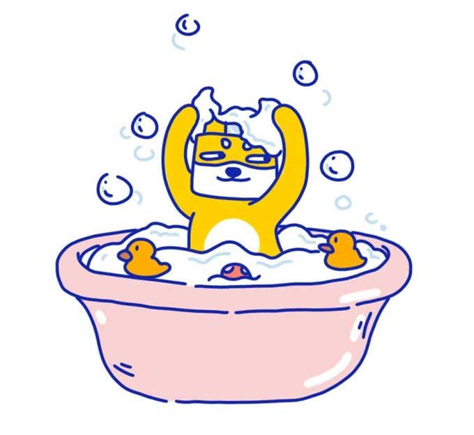 隔壁小区狗友追我十条街要和我换狗!原因竟是偷看了我的洗狗大法