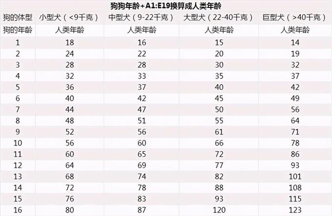 狗狗几岁开始步入老年期?老了该怎么照顾?