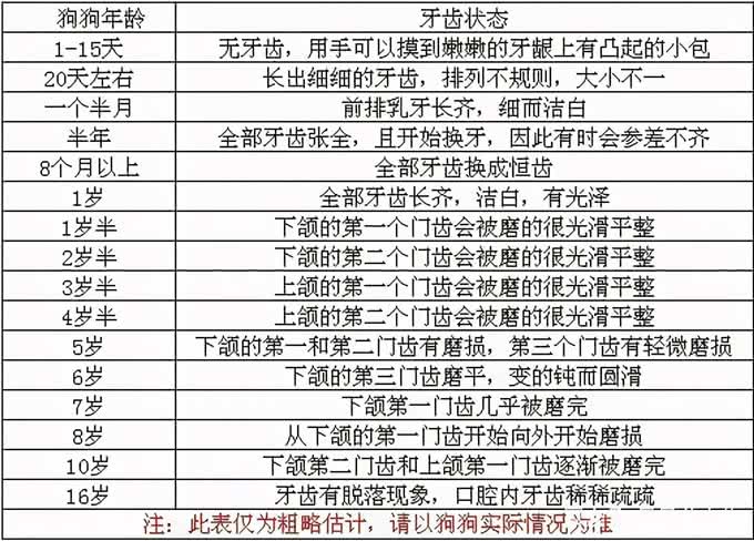 狗狗几岁开始步入老年期?老了该怎么照顾?