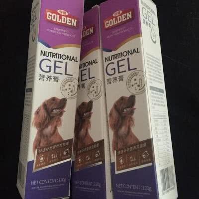 调教狗狗有妙招，掌握正确方法便可事半功倍