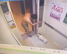 狗狗嫌天热自己坐电梯回家?原来是邻居帮按电梯，狗子人缘真好