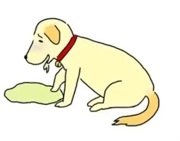 三种狗狗生病前兆