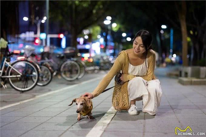 什么?养狗后主人容易生病?为什么养狗之后主人容易生病