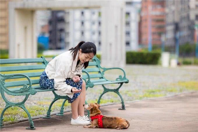 什么?养狗后主人容易生病?为什么养狗之后主人容易生病