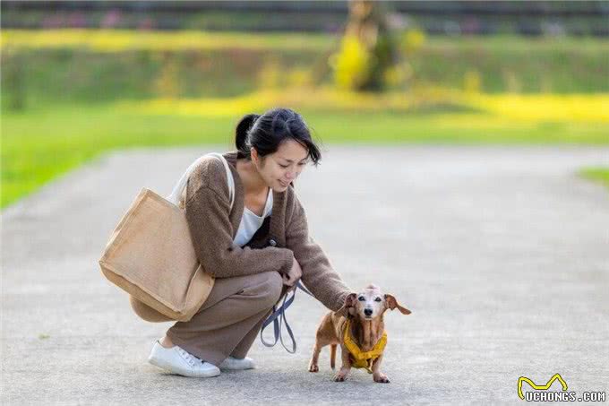 什么?养狗后主人容易生病?为什么养狗之后主人容易生病