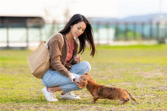 什么?养狗后主人容易生病?为什么养狗之后主人容易生病