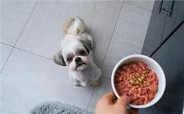 这几种食物，对狗来说是人间美味，可惜很多人没喂过