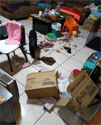 土狗拆家被抓现行，躲进沙发底屁股还被卡住，主人：准备烤乳狗了