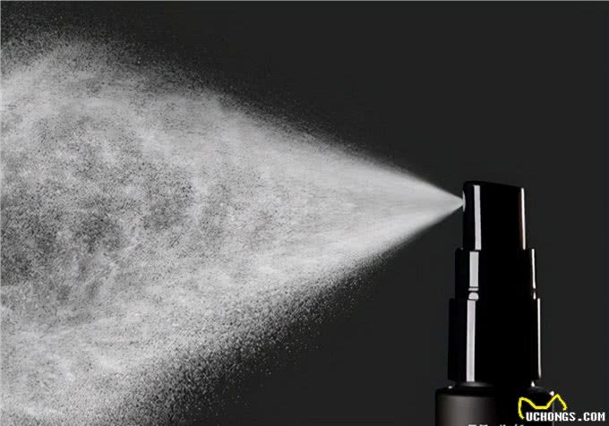 寄生虫困扰:狗狗里的寄生虫,怎么处理会比较好而且快速?