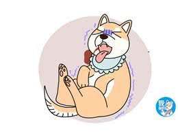 只听过细小、犬瘟，你可知钩端螺旋体病的危害?甚至还会传染给人